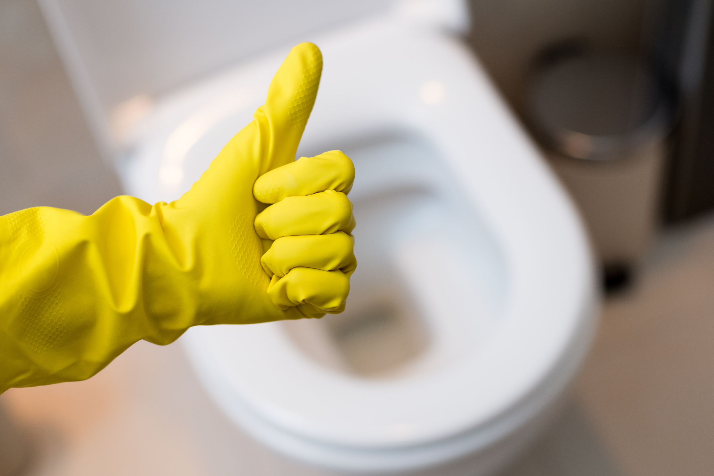 5 Quick Steps to a Clean Toilet Tidy Habits Busy Lives