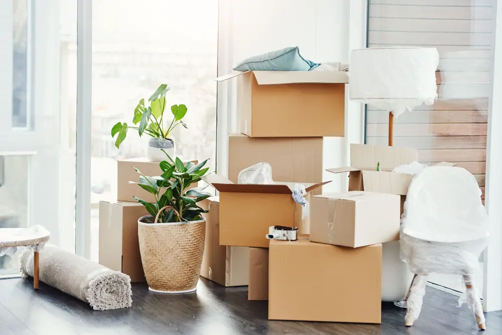 Decluttering before Moving