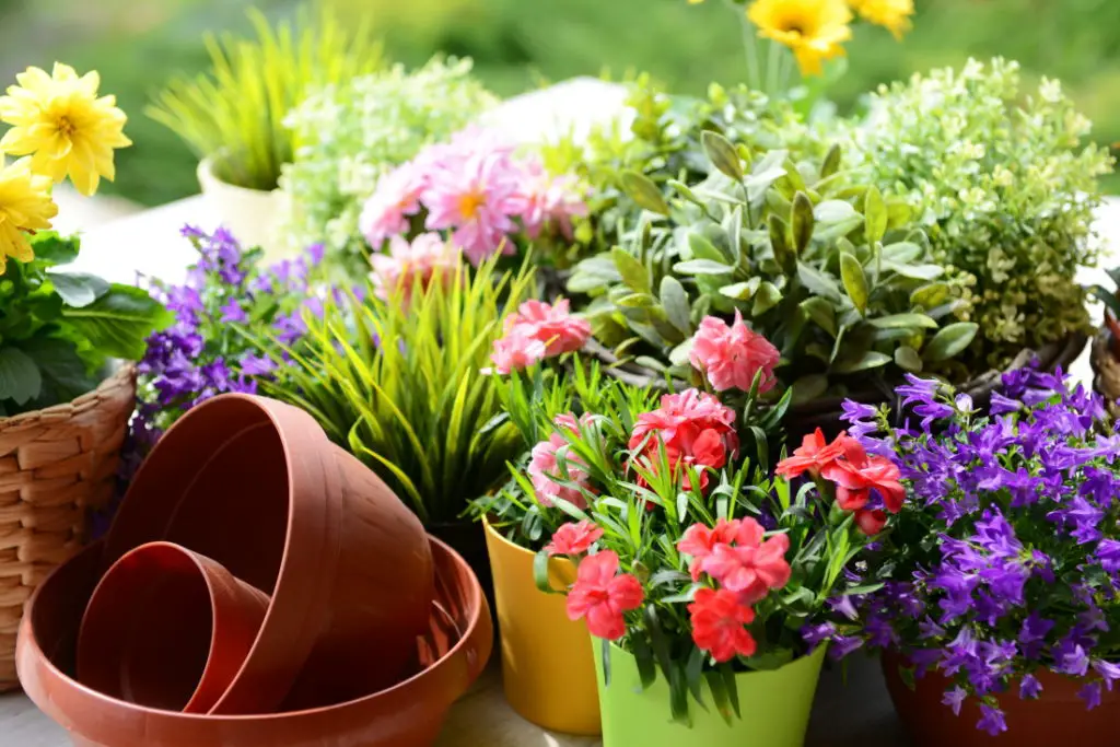 garden clutter