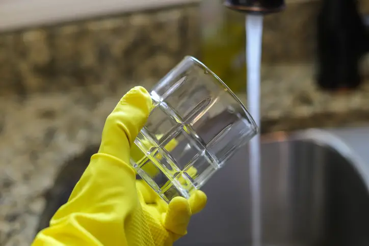 Woman holding drinking glass while wearing cleaning gloves