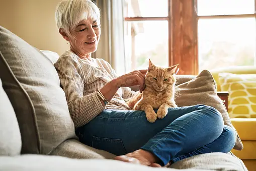Older woman sitting on couch at home, petting her cat