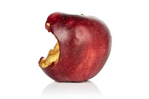 Partially eaten stale red apple