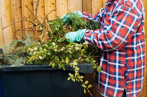 Woman clearing out garden by placing garden clippings into a  big plastic garbage bin